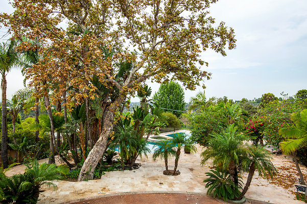 UNIVERSAL-D168-BW-55 UNIVERSAL-D168-BW-55