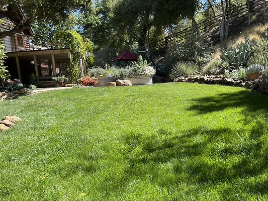 165D4E8A-1629-45B6-ADED-9000E37F87CC 1 105 c-1 165D4E8A-1629-45B6-ADED-9000E37F87CC 1 105 c-1