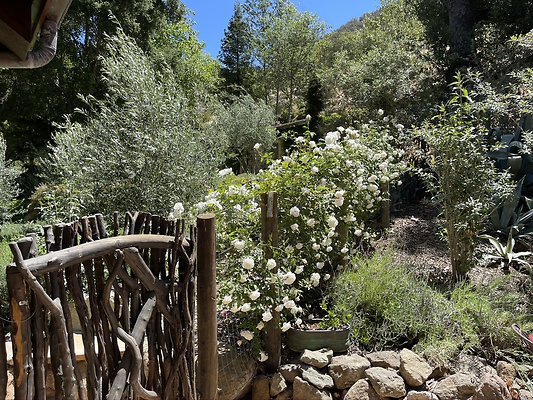 6A3CDC61-AC72-452E-AEBF-F1F59794E09B 1 105 c 6A3CDC61-AC72-452E-AEBF-F1F59794E09B 1 105 c