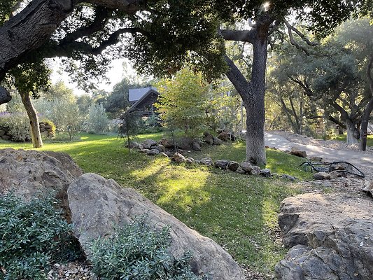 987FE8F1-46A6-4D73-84A5-E41760C230D8 1 105 c 987FE8F1-46A6-4D73-84A5-E41760C230D8 1 105 c