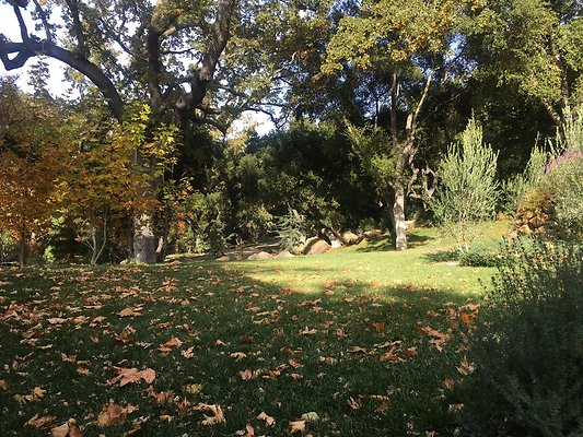 7C967E58-9426-483F-9C7E-E49125456D66 1 105 c-1 7C967E58-9426-483F-9C7E-E49125456D66 1 105 c-1