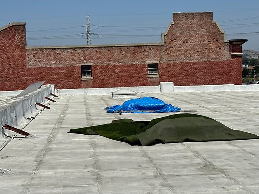 th IMG 0575 th IMG 0575