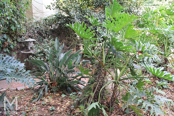 meyler 3453 089 meyler 3453 089