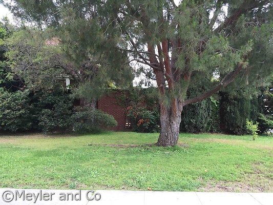 meyler 2950 143 meyler 2950 143