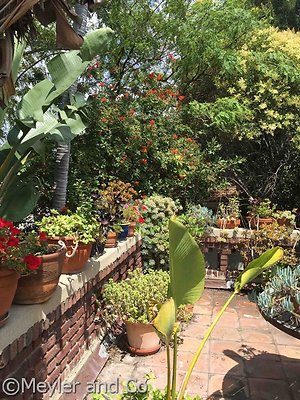 meyler 2950 105 meyler 2950 105