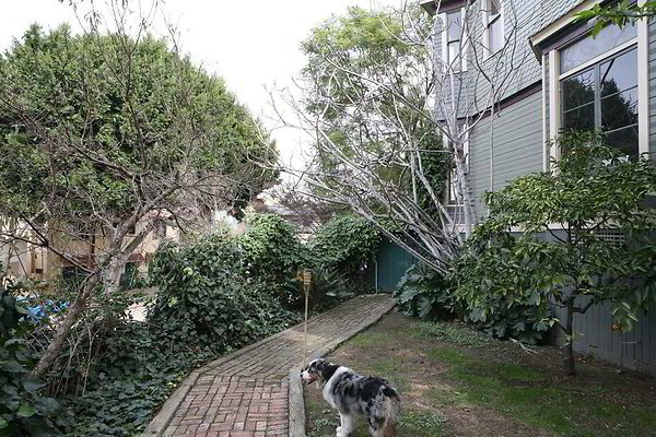 IMG 0485 EWLOC EWLOC IMG 0485 EWLOC EWLOC