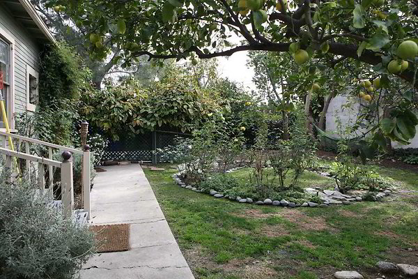 IMG 0491 EWLOC EWLOC IMG 0491 EWLOC EWLOC