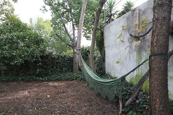 IMG 0495 EWLOC EWLOC IMG 0495 EWLOC EWLOC