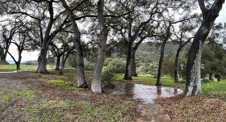 RTR-1098-145 RTR-1098-145