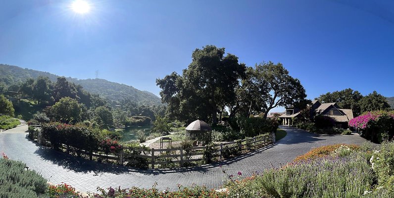 RTR-1098-156 RTR-1098-156