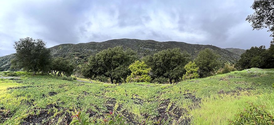 RTR-1098-148 RTR-1098-148