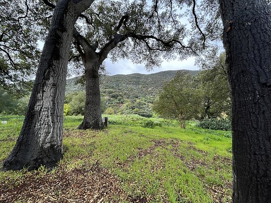 RTR-1098-146 RTR-1098-146