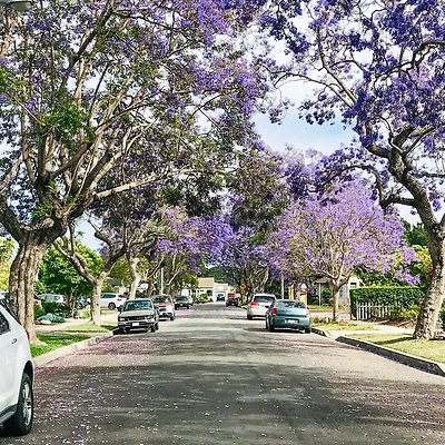 UNIVERSAL-B109-LA-4 UNIVERSAL-B109-LA-4