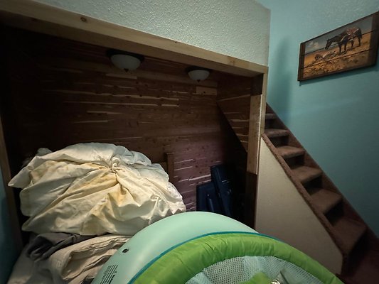 Photo Sep 03 2024, 13 48 35 Photo Sep 03 2024, 13 48 35