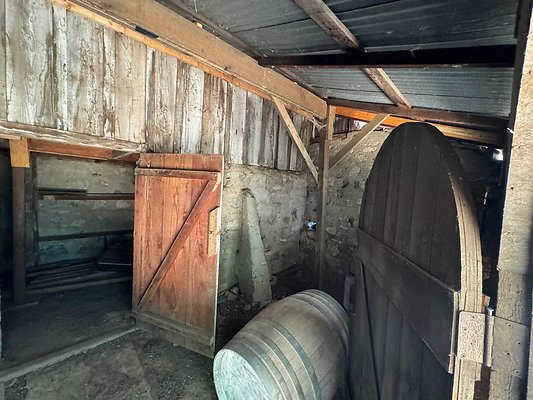 Photo Sep 03 2024, 13 28 26 Photo Sep 03 2024, 13 28 26