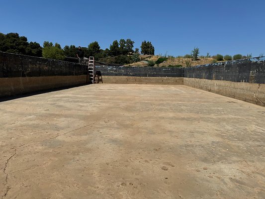 Photo Sep 03 2024, 12 50 51