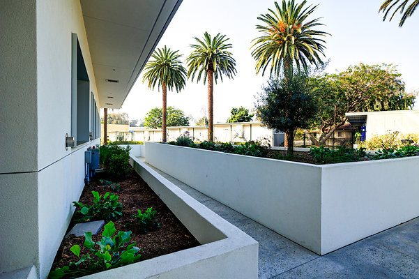 UNIVERSAL-C122-LA-20 UNIVERSAL-C122-LA-20