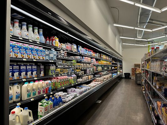 th IMG 2017 th IMG 2017