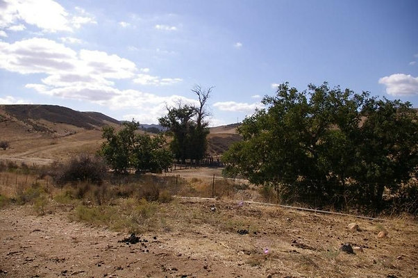 UNIVERSAL-2781-SV-CAMP-31