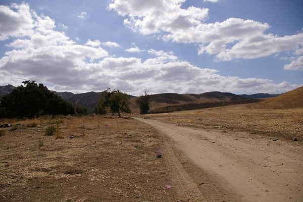 UNIVERSAL-2781-SV-CAMP-26