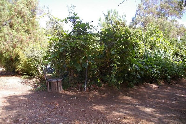 UNIVERSAL-2781-SV-CAMP-19