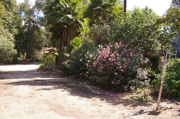 UNIVERSAL-2781-SV-CAMP-20