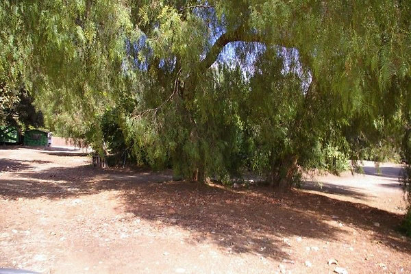 UNIVERSAL-2781-SV-CAMP-17