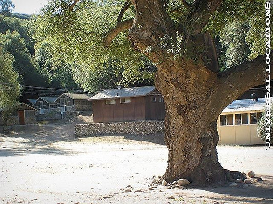 UNIVERSAL-2781-SV-CAMP-6