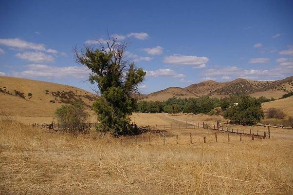 UNIVERSAL-2781-SV-CAMP-34