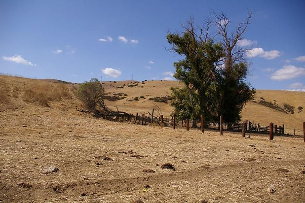 UNIVERSAL-2781-SV-CAMP-35