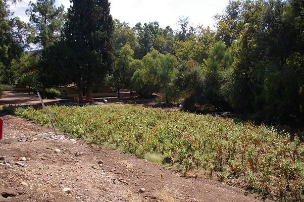 UNIVERSAL-2781-SV-CAMP-21