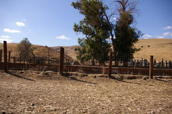 UNIVERSAL-2781-SV-CAMP-36