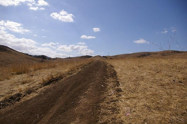 UNIVERSAL-2781-SV-CAMP-33