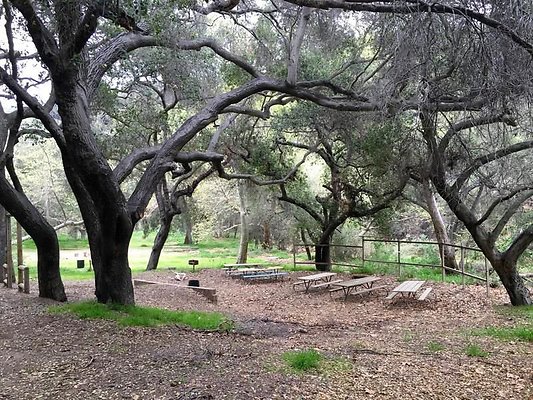 UNIVERSAL-A602-PP-36 UNIVERSAL-A602-PP-36