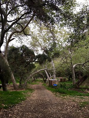 UNIVERSAL-A602-PP-27 UNIVERSAL-A602-PP-27