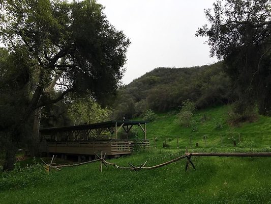 UNIVERSAL-A602-PP-39 UNIVERSAL-A602-PP-39