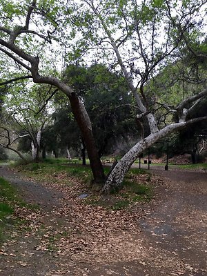 UNIVERSAL-A602-PP-28 UNIVERSAL-A602-PP-28