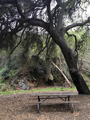 UNIVERSAL-A602-PP-30 UNIVERSAL-A602-PP-30