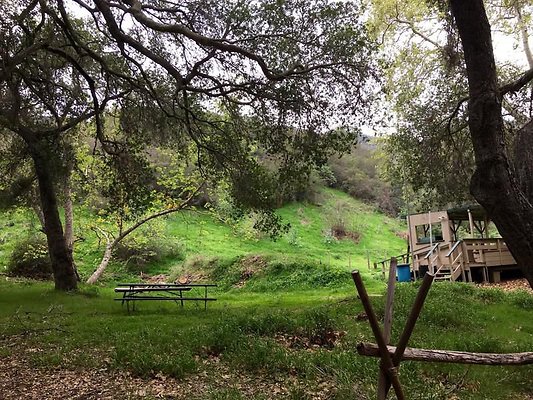 UNIVERSAL-A602-PP-34 UNIVERSAL-A602-PP-34