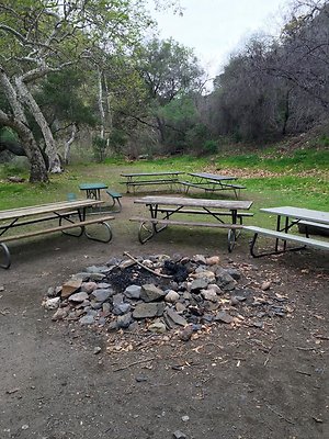 UNIVERSAL-A602-PP-31 UNIVERSAL-A602-PP-31