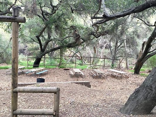 UNIVERSAL-A602-PP-37 UNIVERSAL-A602-PP-37