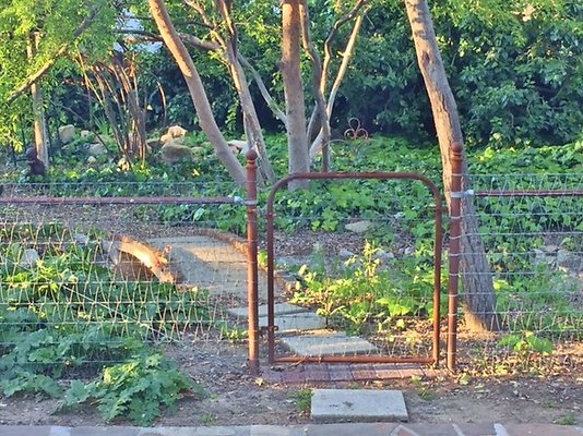 RTR-1203-063-1 RTR-1203-063-1