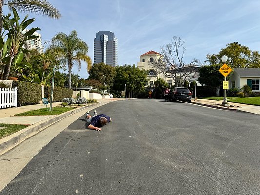 IMG 0699