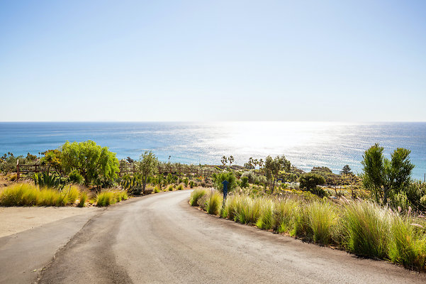 UNIVERSAL-D424-MA-99