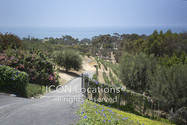 MO2020 044ICON MO2020 044ICON