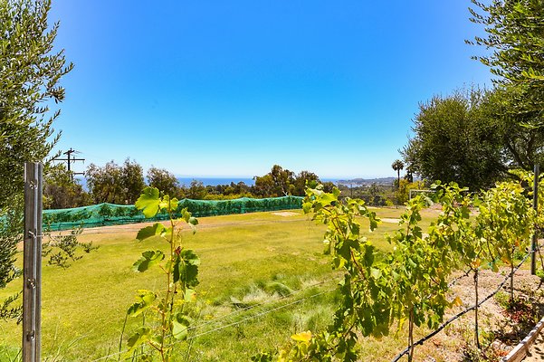 UNIVERSAL-B544-MA-81