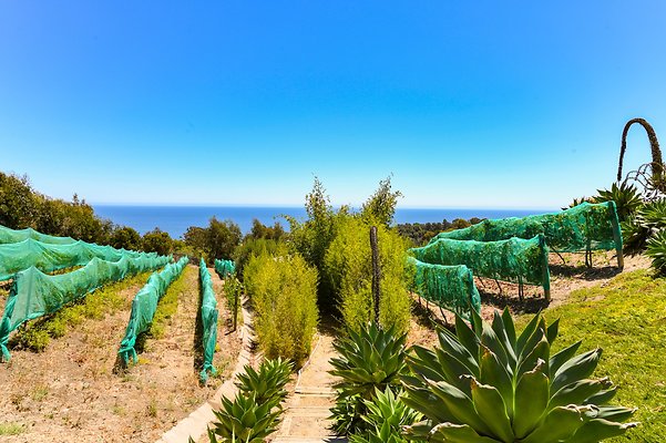 UNIVERSAL-B544-MA-79