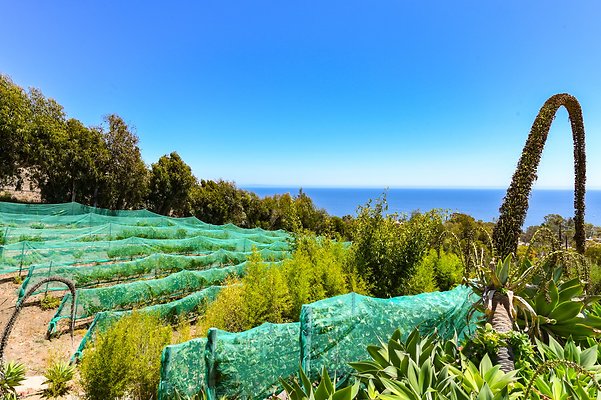 UNIVERSAL-B544-MA-71