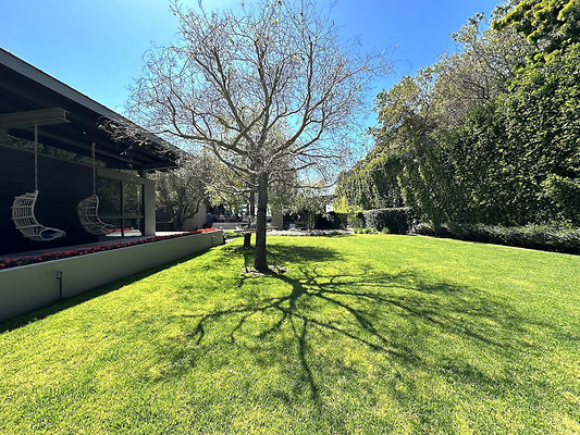 UNIVERSAL-CW313-MA-136 UNIVERSAL-CW313-MA-136