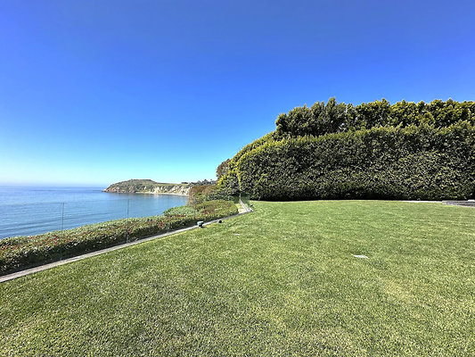 UNIVERSAL-CW313-MA-99